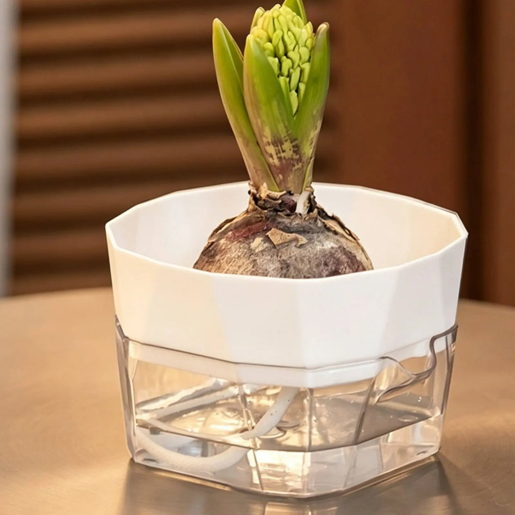 Vase Hydroponique à 2 Niveaux - Pot à Arrosage Automatique pour Bulbes et Plantes