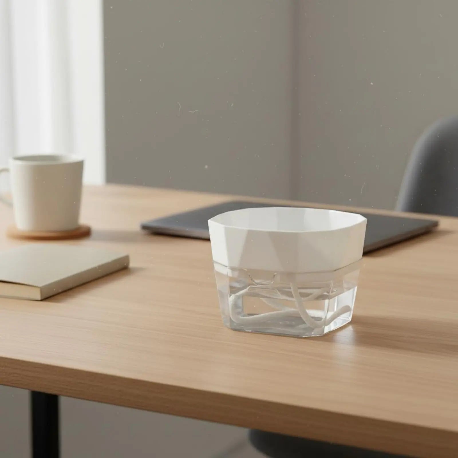 Vase Hydroponique à 2 Niveaux - Pot à Arrosage Automatique pour Bulbes et Plantes