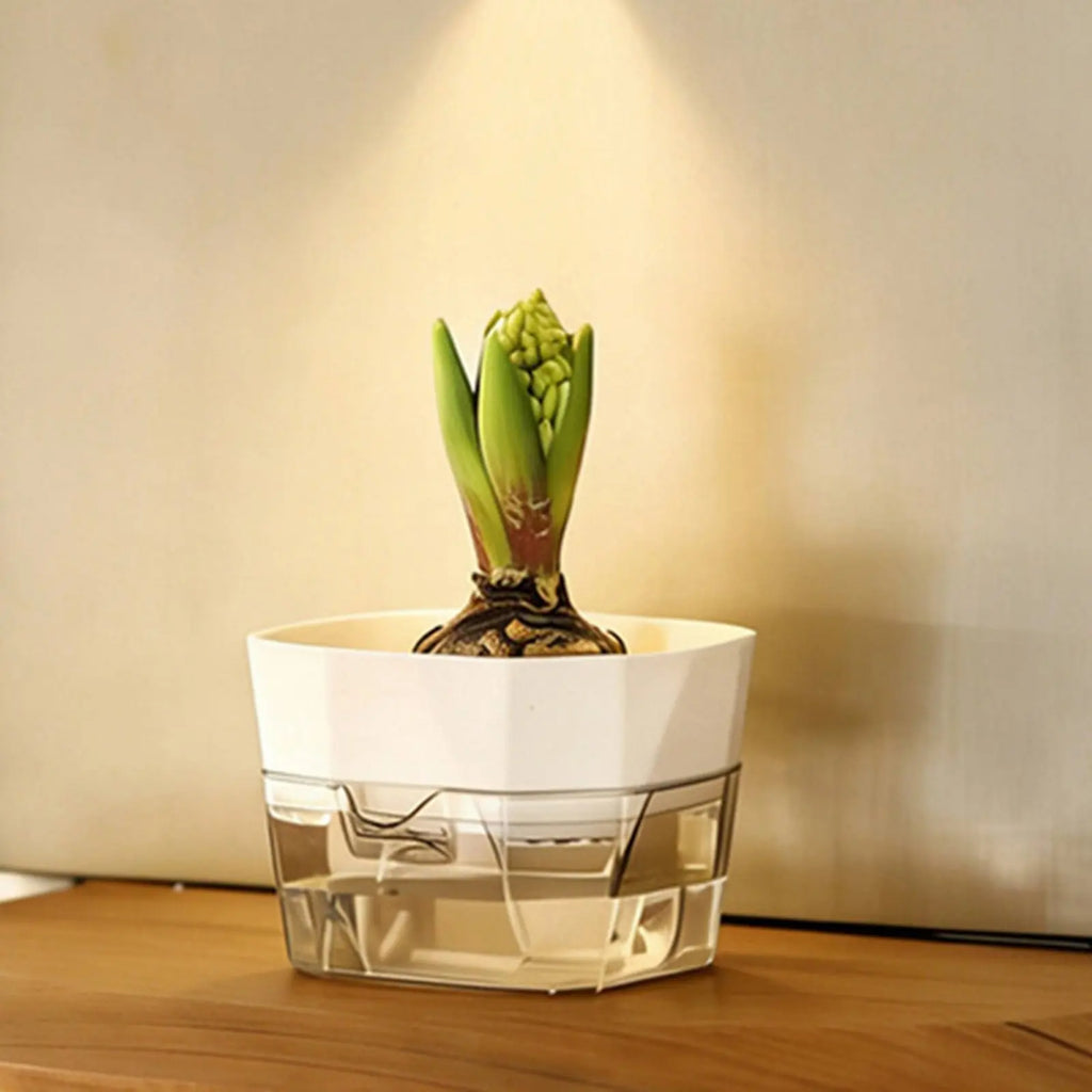 Vase Hydroponique à 2 Niveaux - Pot à Arrosage Automatique pour Bulbes et Plantes